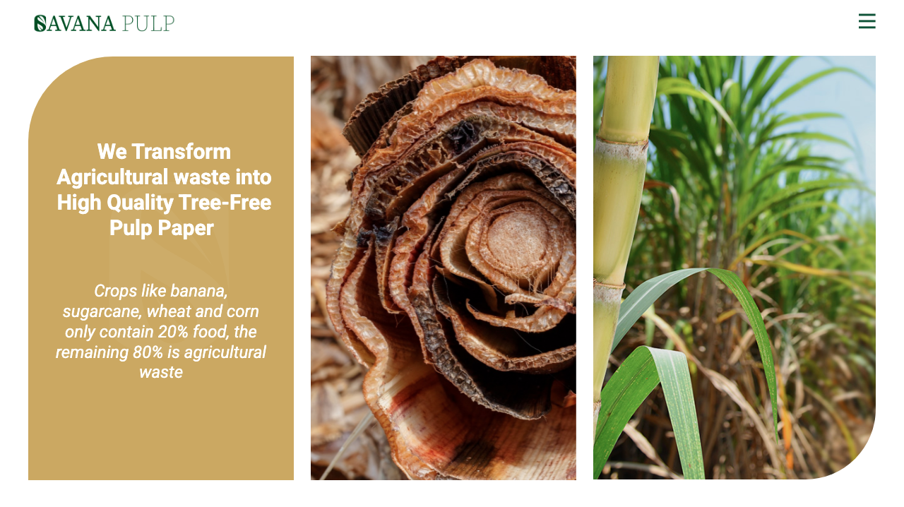 Savana Pulp Website screenshot 2